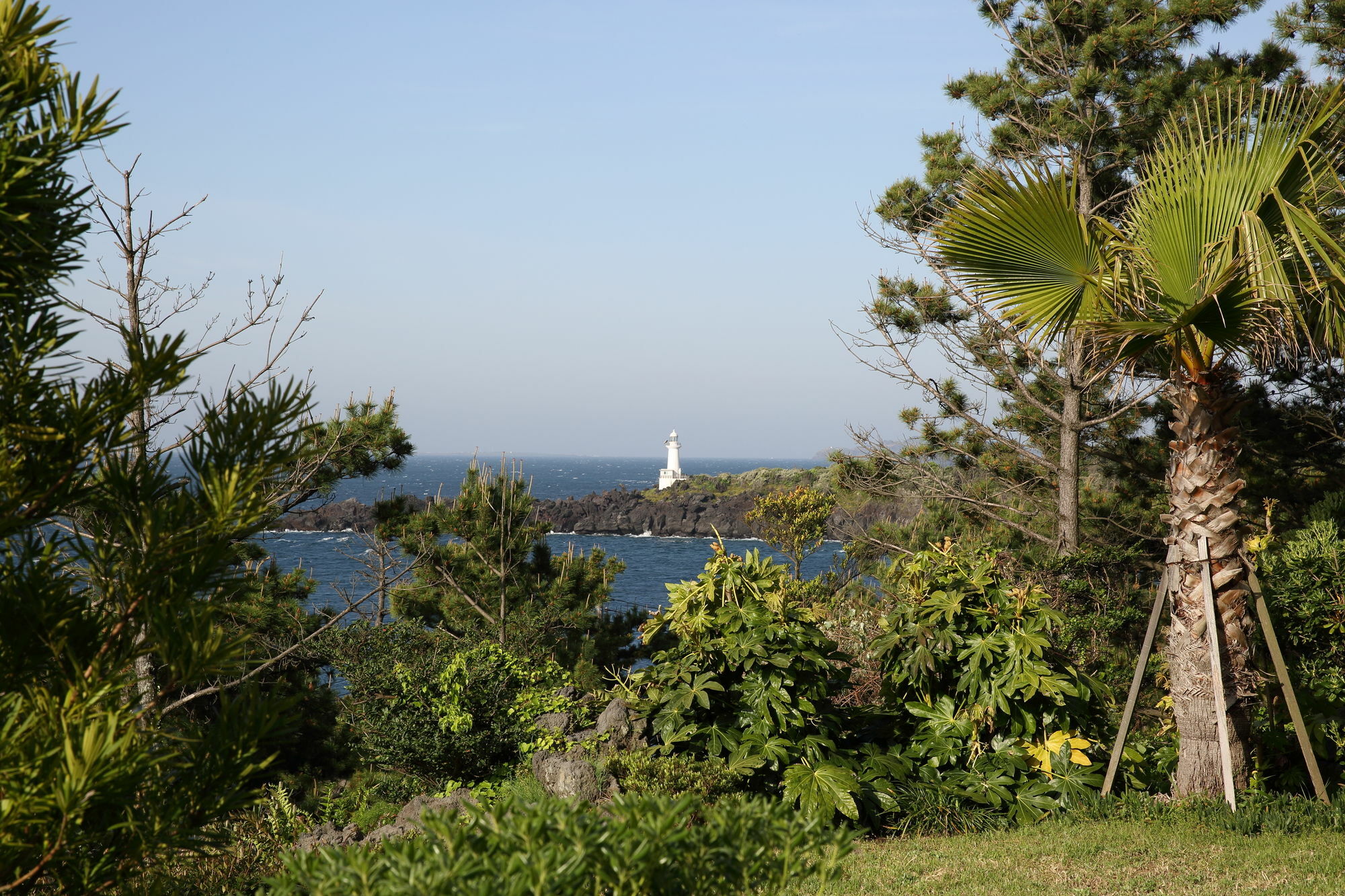 Villa Cozy Sai Private House Seogwipo Esterno foto