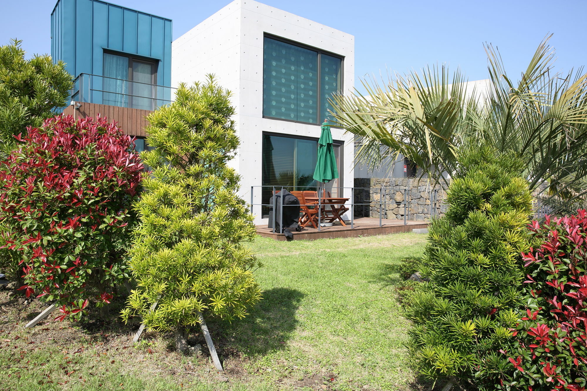 Villa Cozy Sai Private House Seogwipo Esterno foto